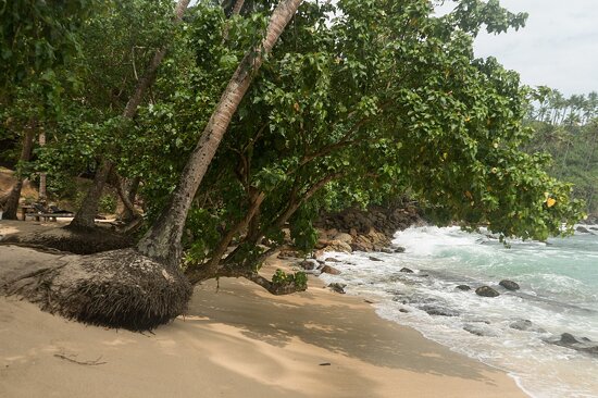 Mirissa Beach