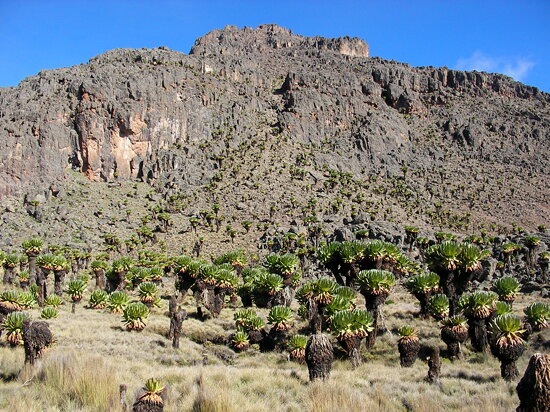 Mount Kenya