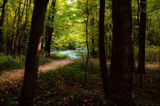 From darkness to light