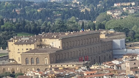 Палацца Піці