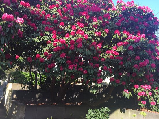 Parc André Citroën