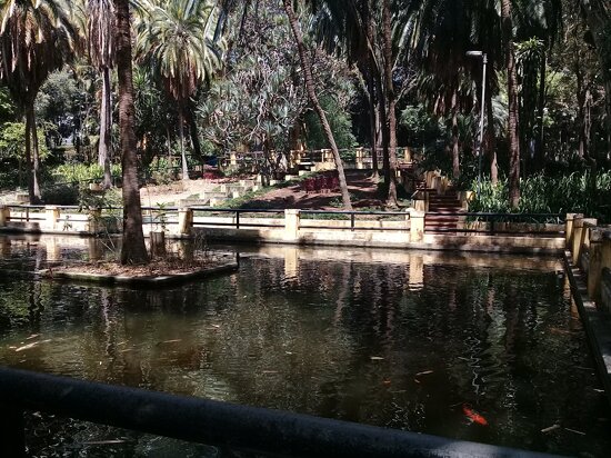 Parque da Água Branca