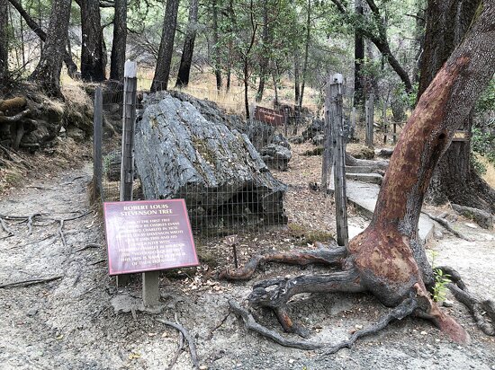 Petrified Forest, Calistoga