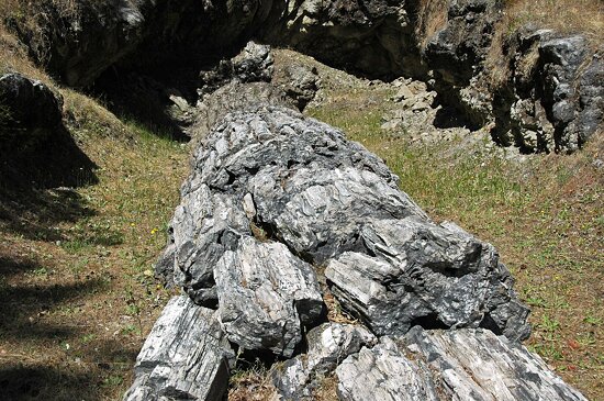 Petrified Forest, Calistoga