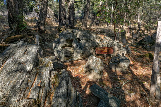 Petrified redwood tree at Petrified Forest near Calistoga-01 11-20-20