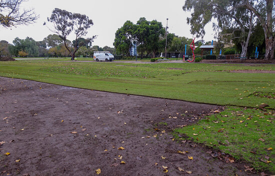 Replanting the East Parklands