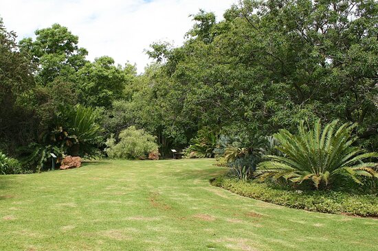 Pretoria National Botanical Garden