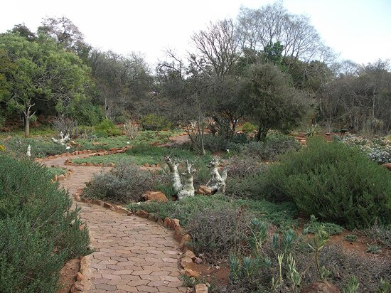 Pretoria National Botanical Garden