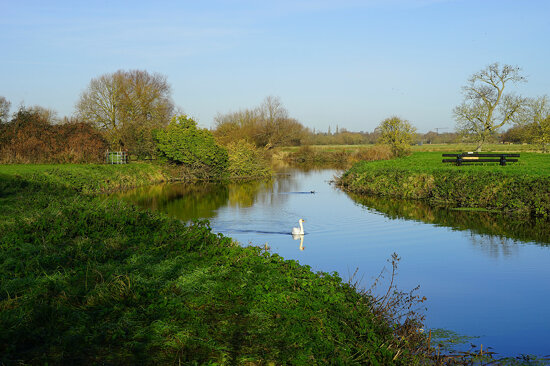 The water meadows at Grantchester