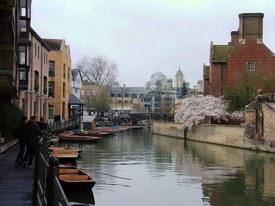River Cam