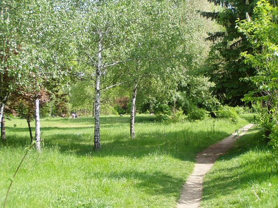 Rose Valley, Chișinău