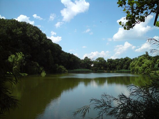 Rose Valley, Chișinău