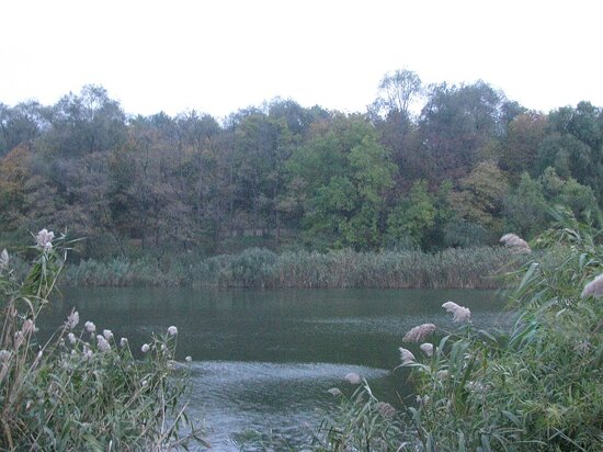 Rose Valley, Chișinău