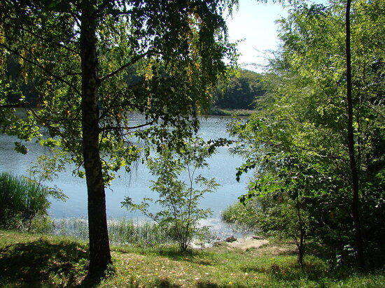 Rose Valley, Chișinău