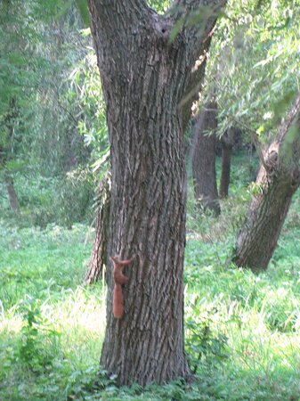 Rose Valley, Chișinău