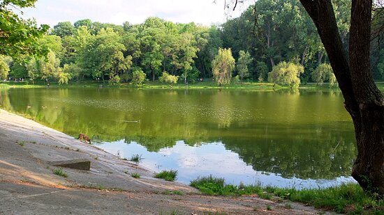 Rose Valley, Chișinău
