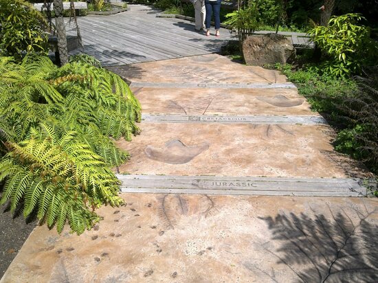 San Francisco Botanical Garden