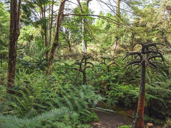 Singapore Botanic Gardens