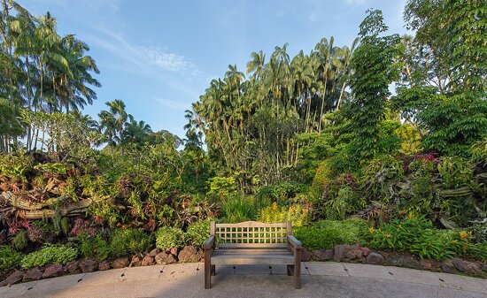 Singapore Botanic Gardens
