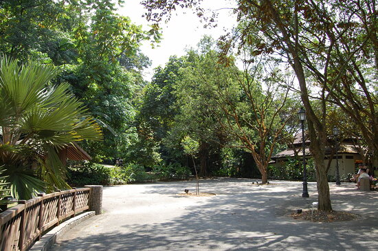 Singapore Botanic Gardens