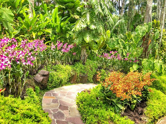 Singapore Botanic Gardens