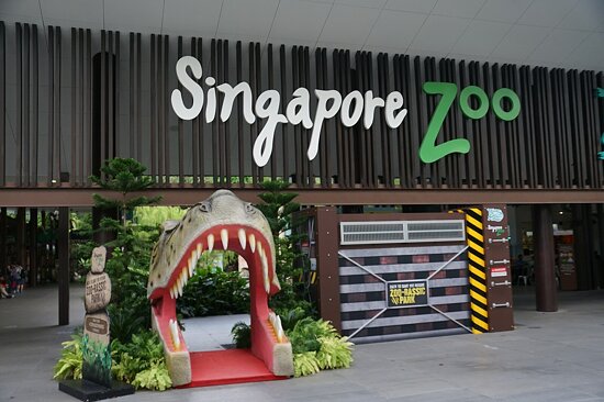 Singapore Zoo