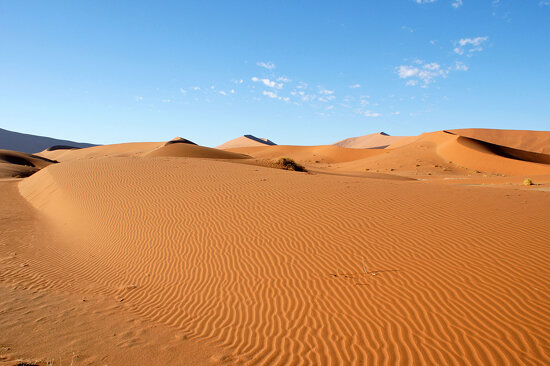 DSC02771 - Namibia 2010 Sossusvlei