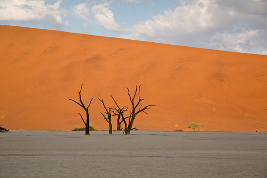 Deadvlei Morning, Namibia