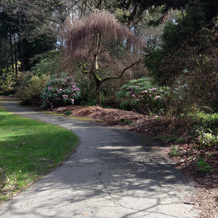 Spring is in the Air