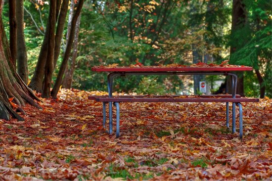 Where has everyone gone?