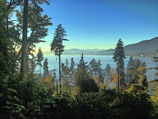 Stanley Park Surrealism