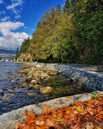 It&#039;s a beautiful fall day in Stanley Park