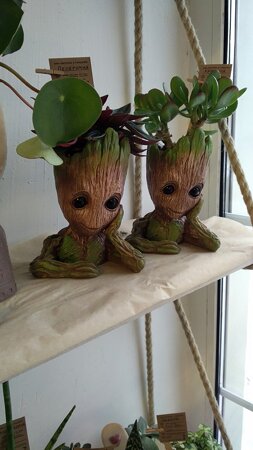 ТКАЧИ (креативное пространство)