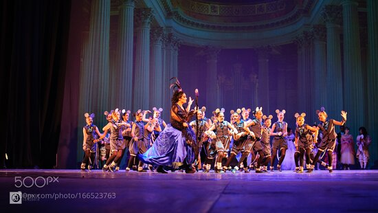 Ballet Pinhais | Teatro Guaíra