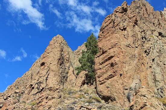 پارک ملی تیده