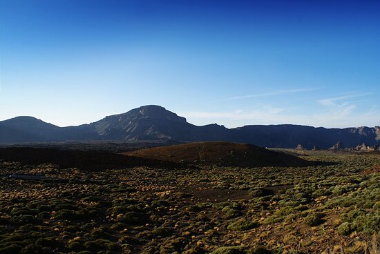 پارک ملی تیده