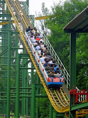 The Roller Coaster