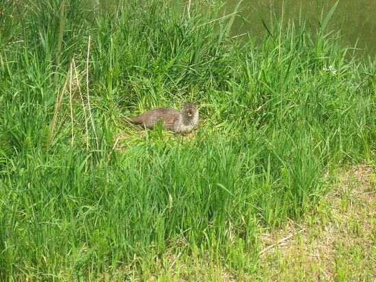 Tierpark Dählhölzli