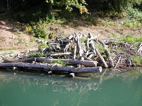 Tierpark Dählhölzli