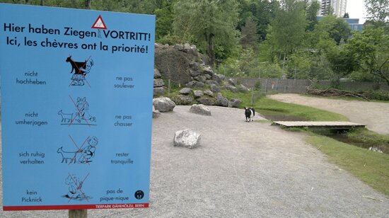 Tierpark Dählhölzli