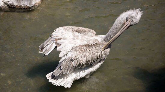 Tierpark Dählhölzli
