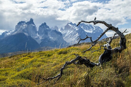 Torres del Paine National Park