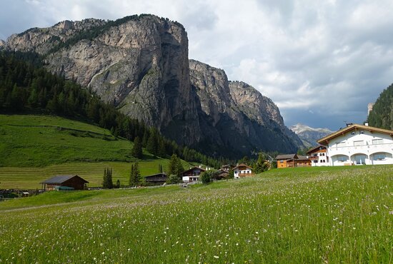 Selva di Val Gardena
