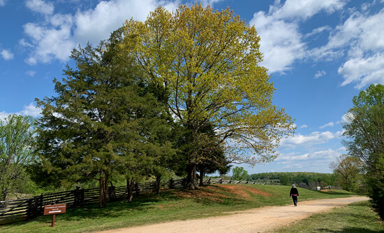 Appomattox Court House National Historical Park, Virginia - April 22, 2021