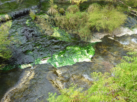 NewZealandWaimangu035