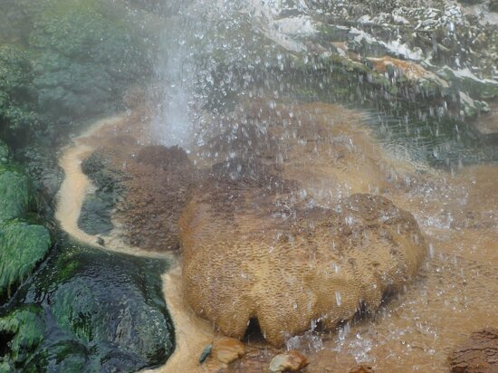 Waimangu Geyser
