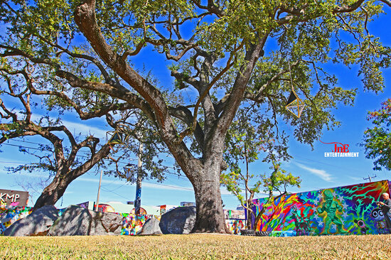 #artbasel #artbaselmiami #miamiart #miami #graffitiporn #miamigraffiti #wynwood #graffiti #wynwoodar