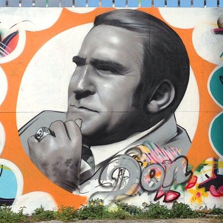 #TheDon #MiamiDolphins #streetart #graffiti #shula #nfl