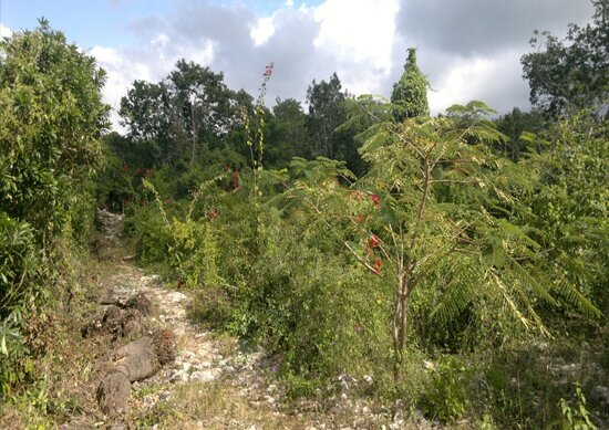 Xplor, Playa del Carmen