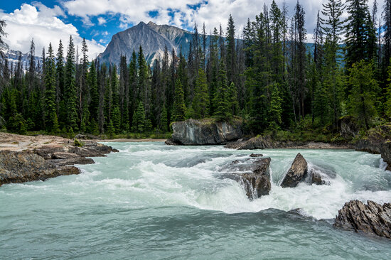 Rapids in Yoho